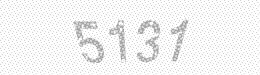 Visual security code — type the characters shown in the image