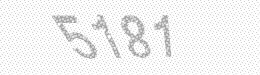 Visual security code — type the characters shown in the image